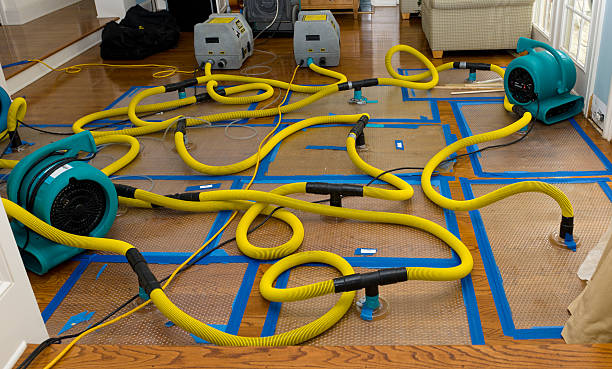 Professional Storm Water Damage Restoration technician working in Delaware, OH